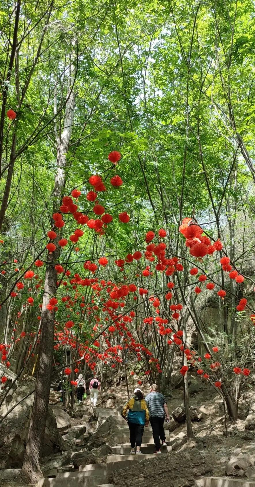 十渡一日游游玩攻略,十渡一日游旅行社