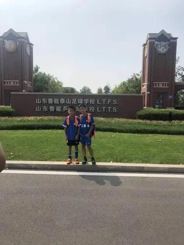 山东泰山双冠是什么,山东泰山双冠