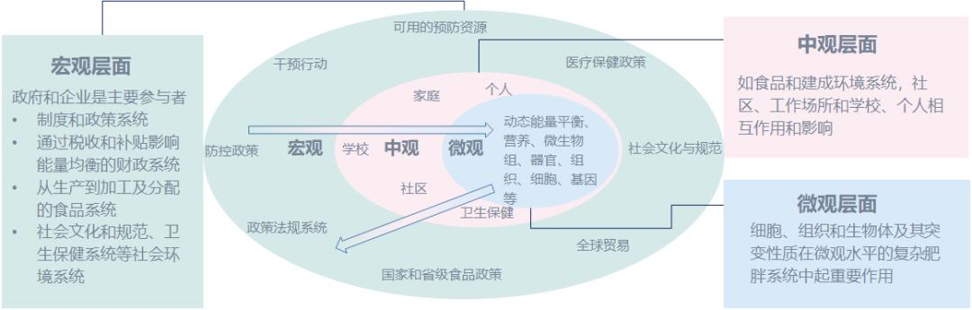 邹大进糖尿病讲座,邹大进糖尿病发病原因