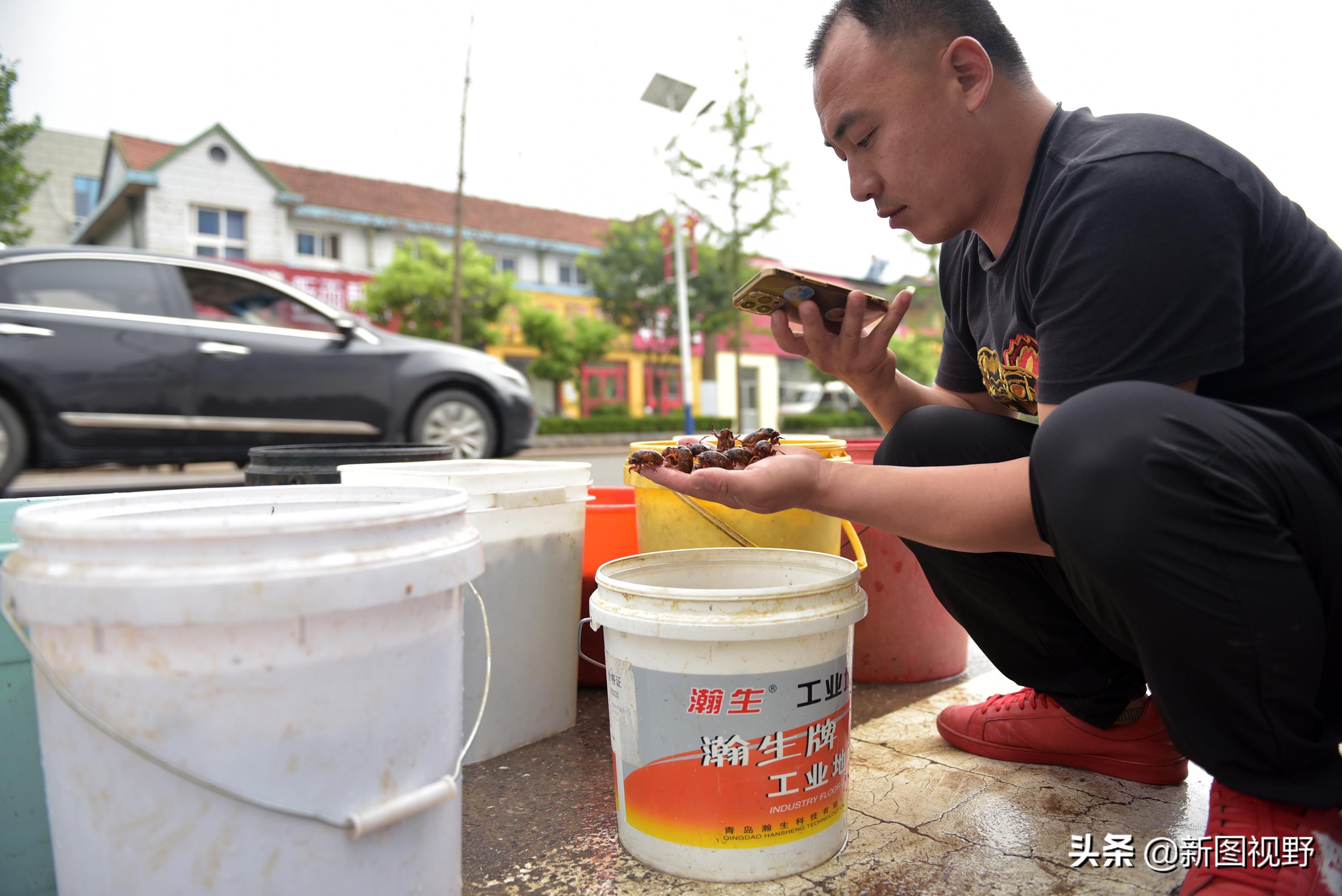 35岁青年网售金蝉爆单，有人一次买2000只，发快递忙得没时间吃饭