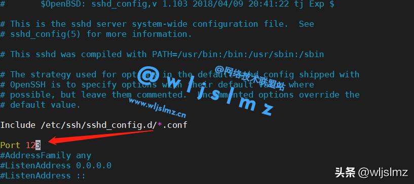 害怕LinuxSSH不安全？这几个小妙招安排上！