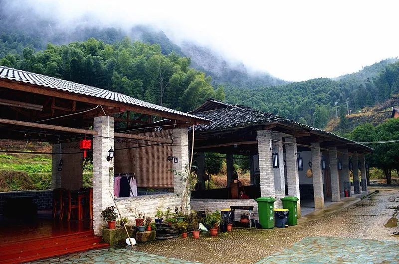 到咸宁看国宝过大年,离家45年的国宝回湖北咸宁过年