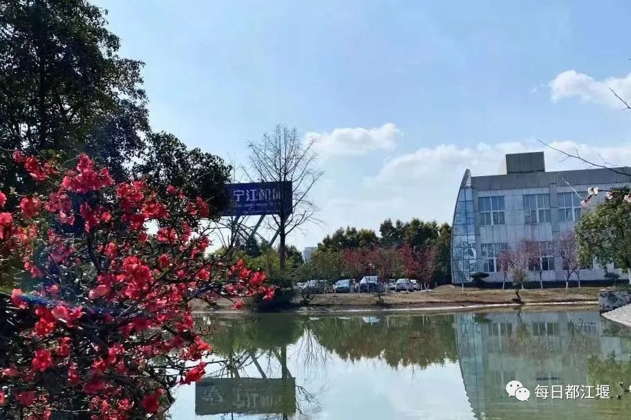 都江堰最大企业公司,都江堰出名的企业