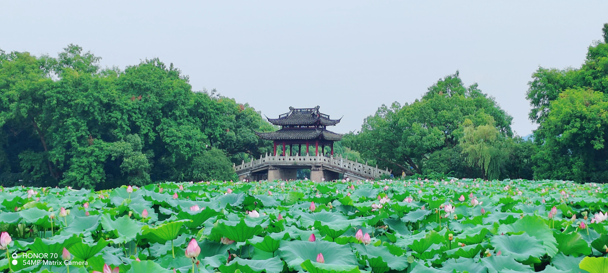 荣耀70评测：颜值才华兼备，旗舰IMX800要你好看，五星好“屏”