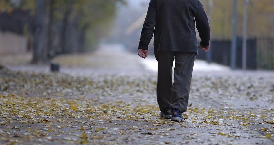 酒神小姐中文完整版在哪看,酒神小姐韩国电影