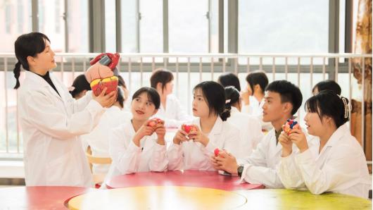 9类强项专科学院,中国十大名校特色专业