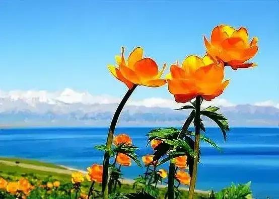 2023年02月27日星期一农历:癸卯年【兔年】二月初八八九第5天