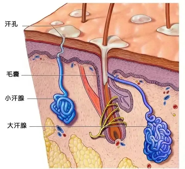 做父母的要注重孩子十几岁的心理,父母得了这个病要警惕