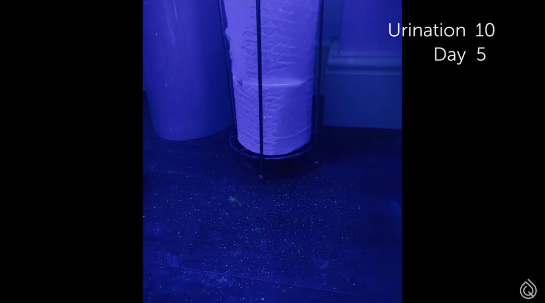 被公厕水溅到会得淋病吗,被公厕水溅到会感染吗