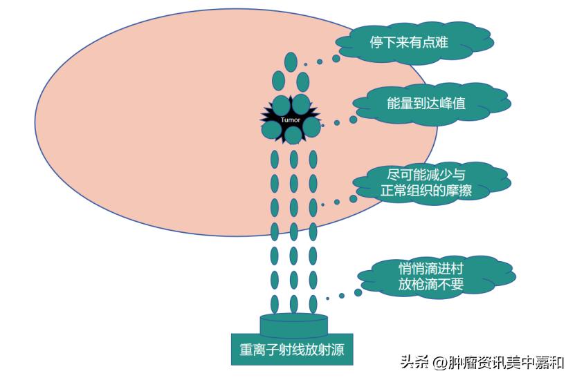 抗癌圣品真的有用吗,抗癌成功的原理和治疗方法