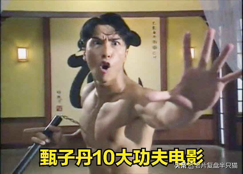 推荐几部甄子丹最能打的动作电影,甄子丹拍过三部巅峰时期动作片