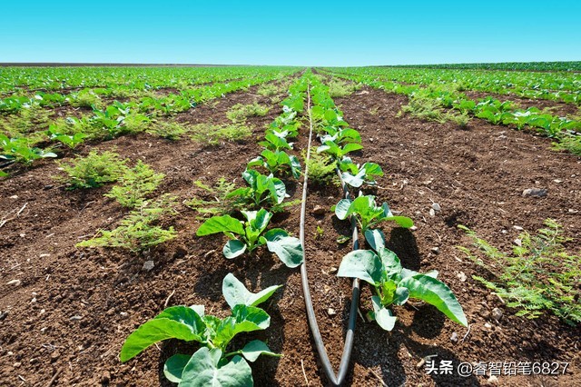 抽水浇地违法河北农民被罚10万,农田打井违法吗