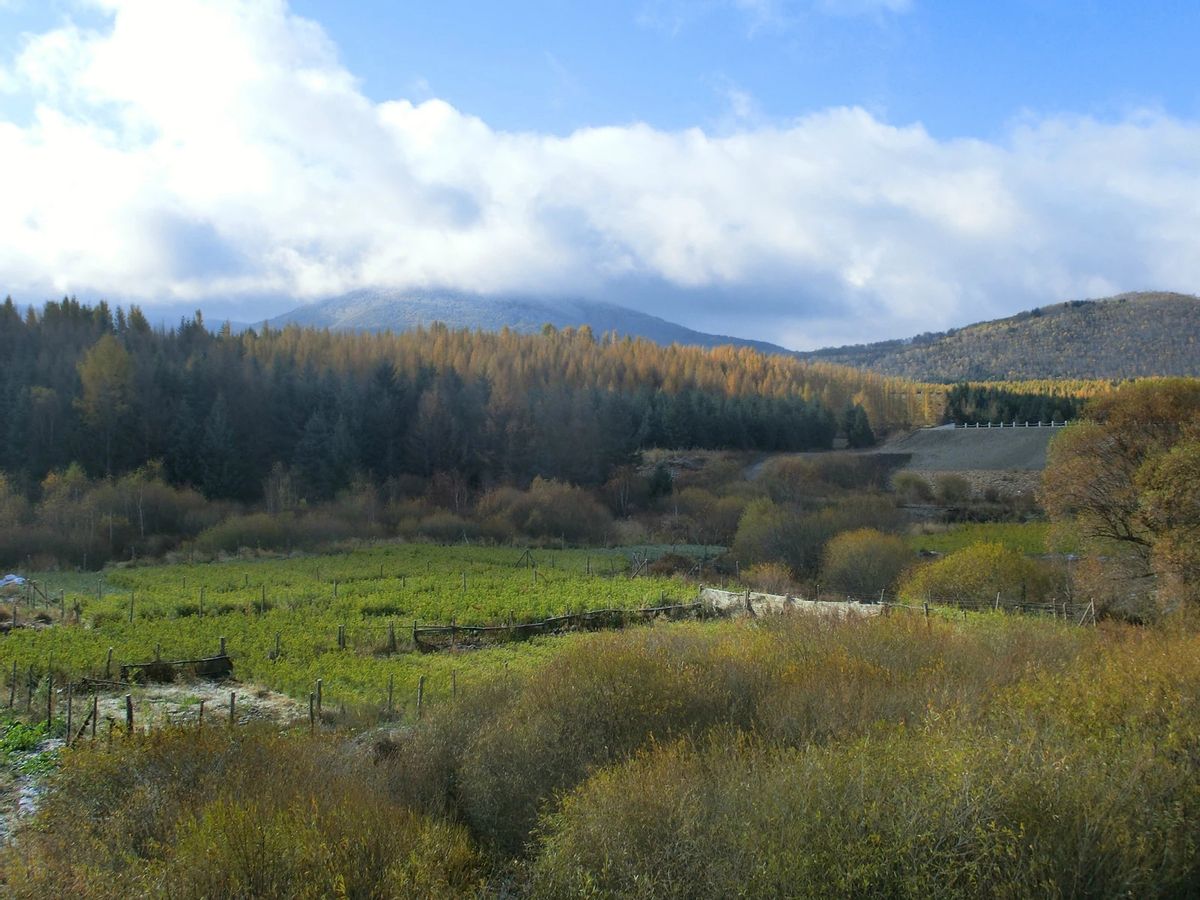 金秋时节登山视频,金秋登太行免费完整版
