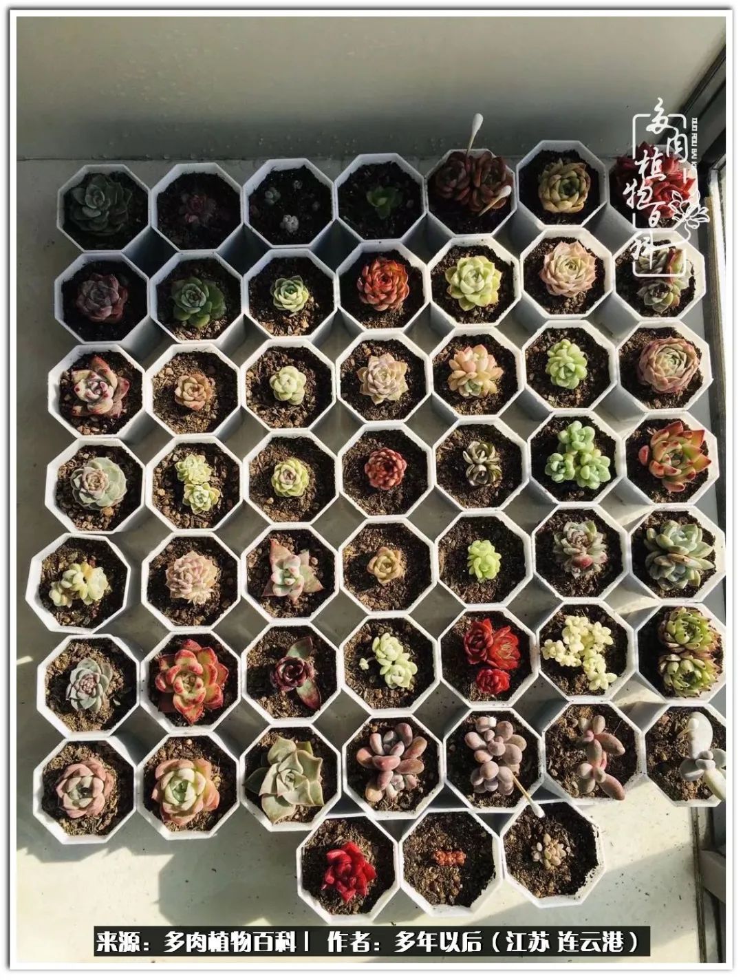 我若不弃，愿你不负我所期