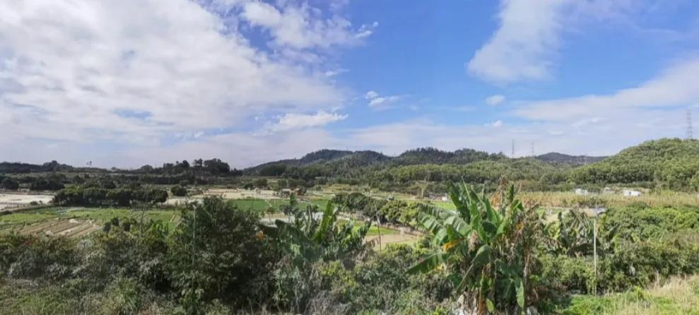 东荣集团,东荣集团新消息