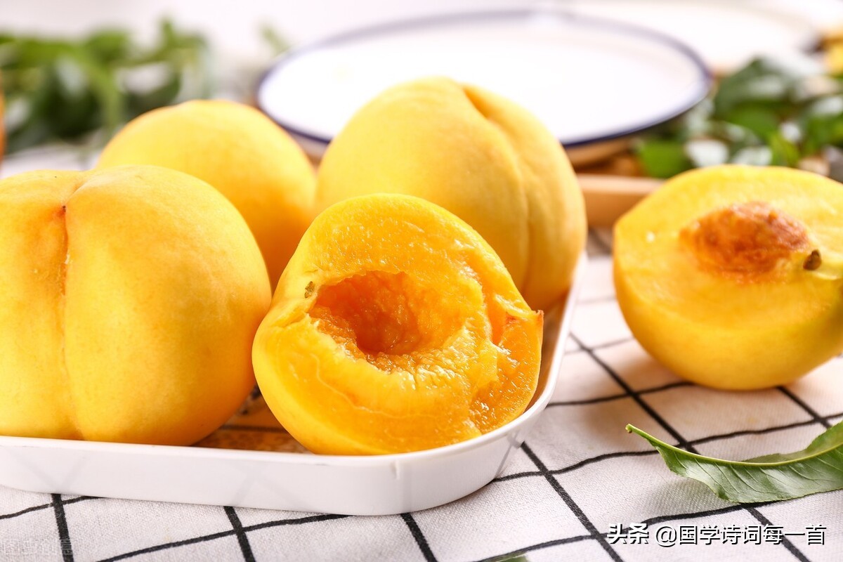 飞花令1000首必背诗词,飞花令古诗词1000句