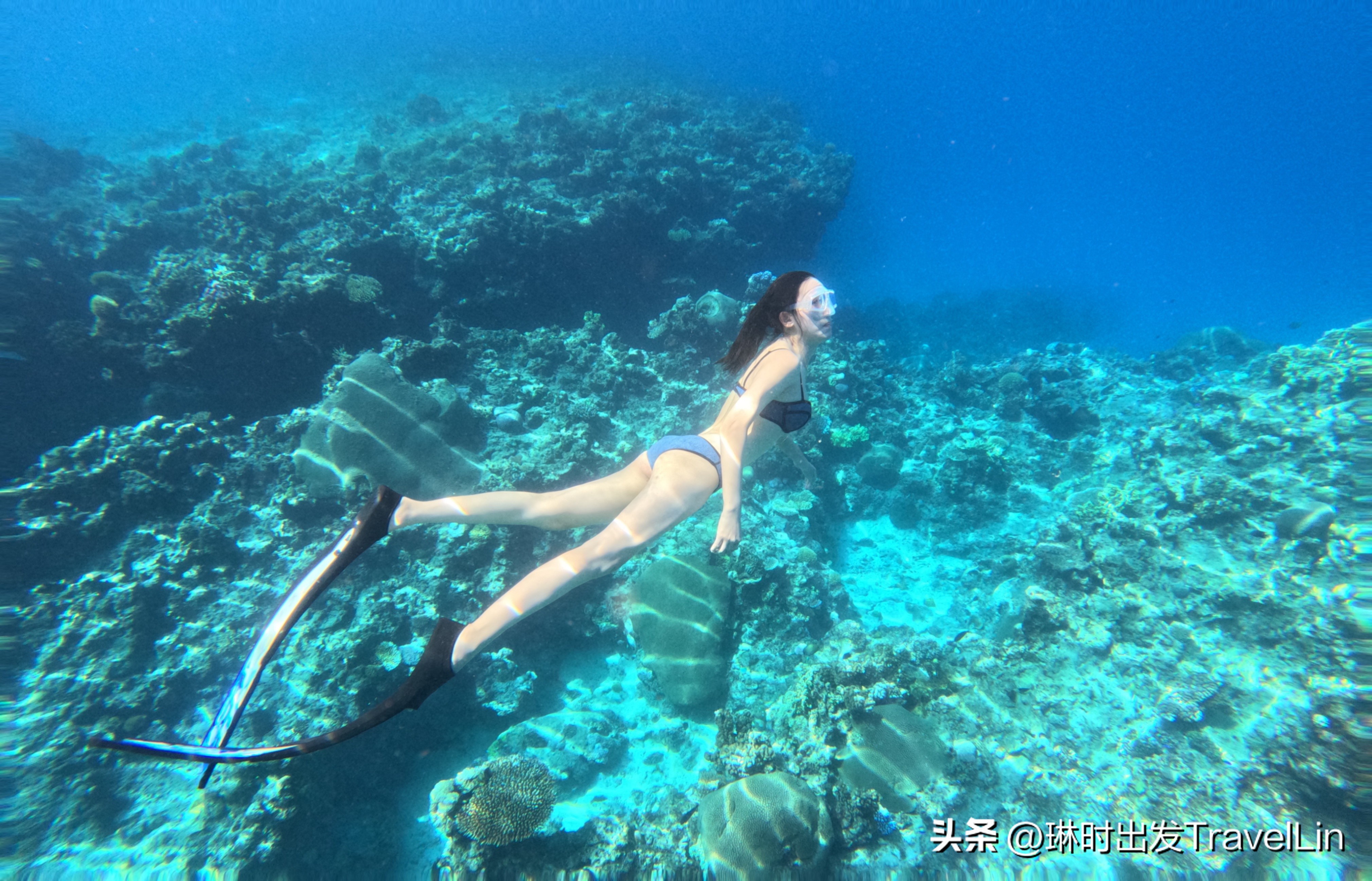 超刺激的海钓视频,超刺激的鲨鱼