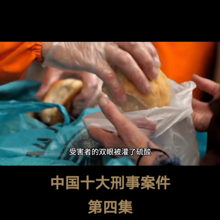 新中国十大刑事案件纪实全集,中国十大刑事案件电影