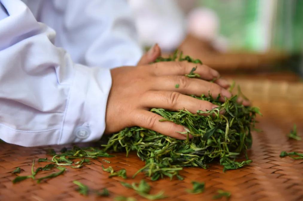 入秋喝红茶还是绿茶好呢,绿茶和红茶究竟有什么区别呢