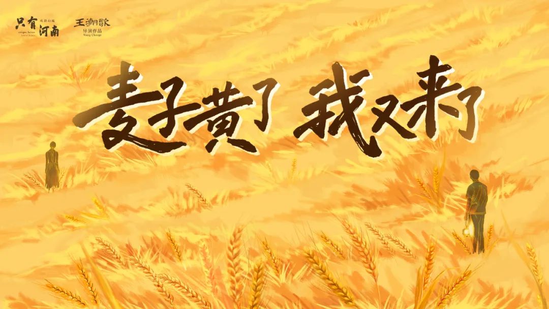 娌冲崡鎴忓墽骞诲煄涓嶅閿欒繃,鍙湁娌冲崡鎴忓墽骞诲煄鍙兘鐪嬩竴鍦哄悧