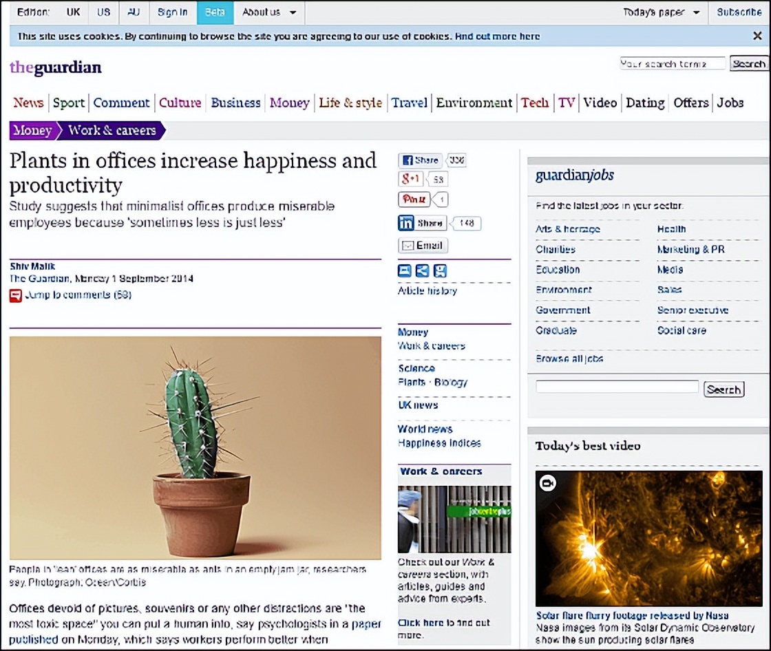 您应该选择什么样的室内植物来改善心理健康?