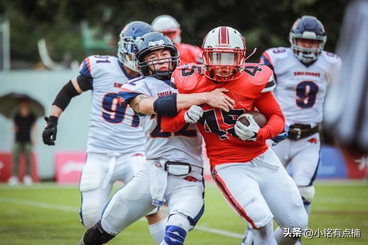 泰勒的传奇一生,泰勒的历程