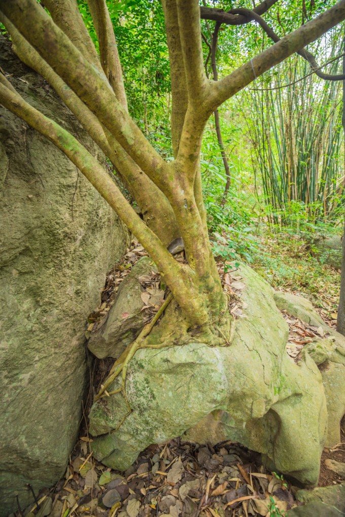 自驾游贵州黄果树旅游攻略,安顺黄果树景区旅游攻略路线推荐
