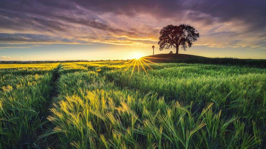 最新农村种田类小说,乡村乡土类种田文小说推荐