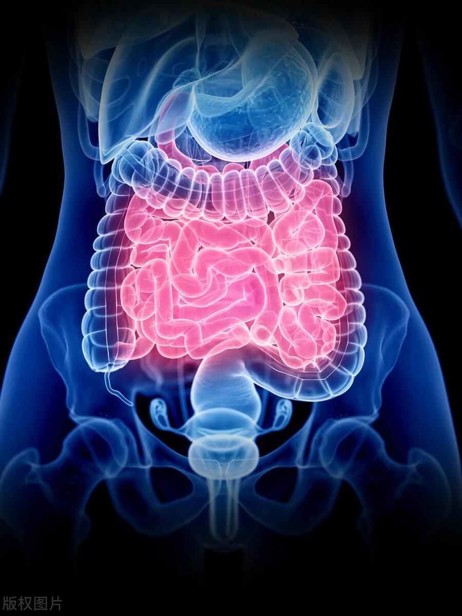 非手术能治疗高位的肠梗阻吗,小肠梗阻的诊断