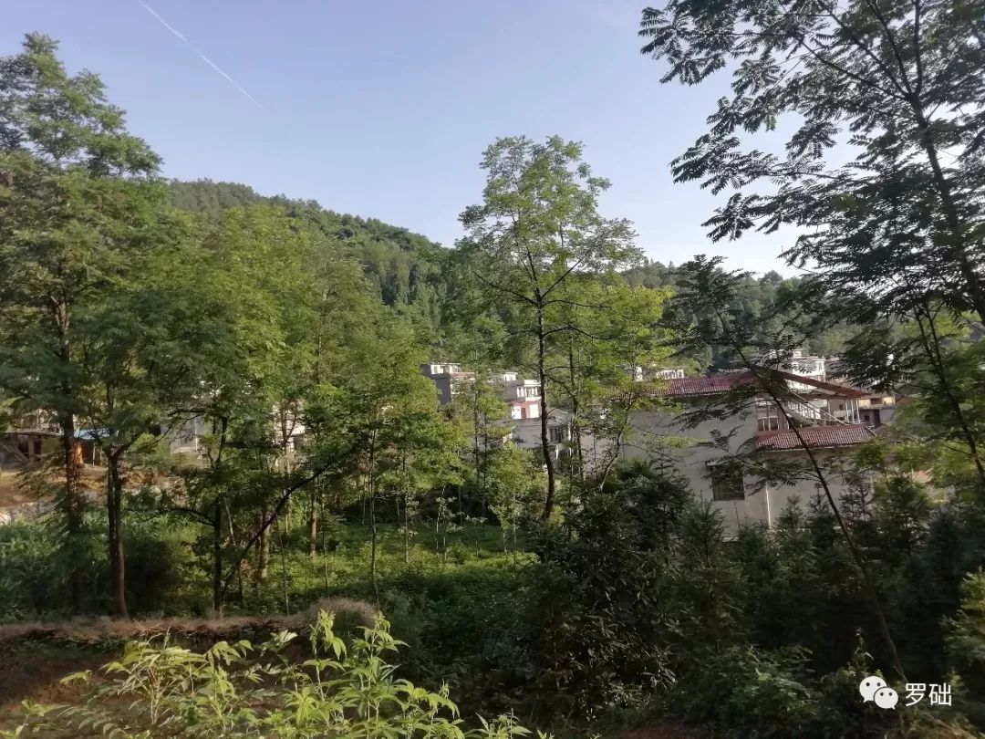 鐭虫湪灞卞,鐭虫湪瀵ㄥソ椋庡厜