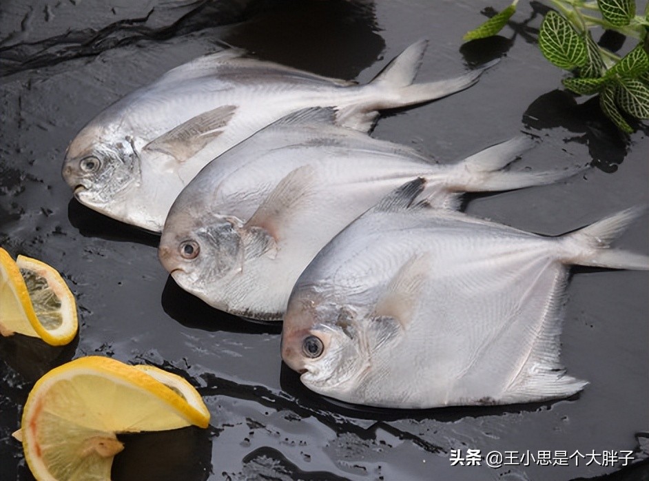 六种野生鱼不能人工养殖,市场上这6种鱼放心购买