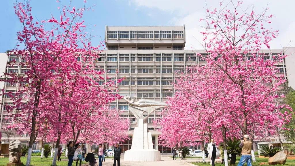 “城市、专业实力、分数性价比、就业质量”都很好的两所大学推荐