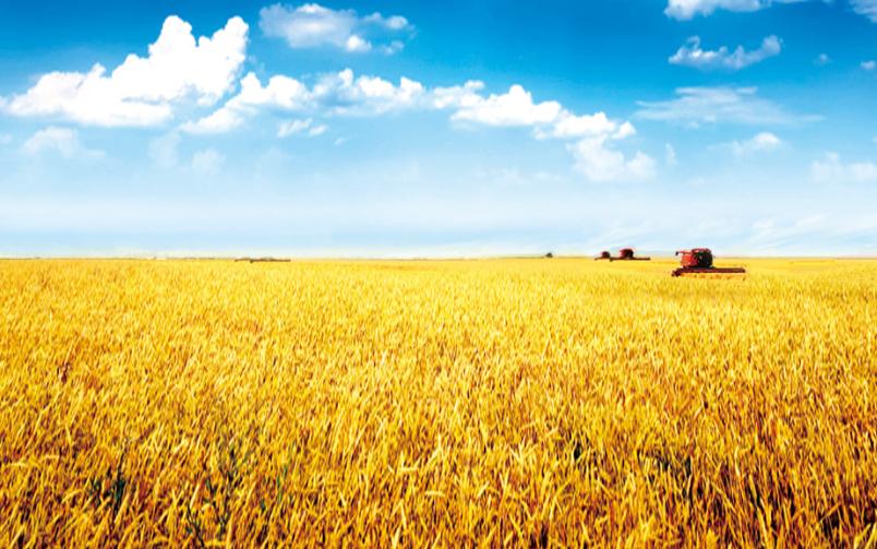 如何通过政策支持农业可持续发展,农业可持续性发展的理论与实践