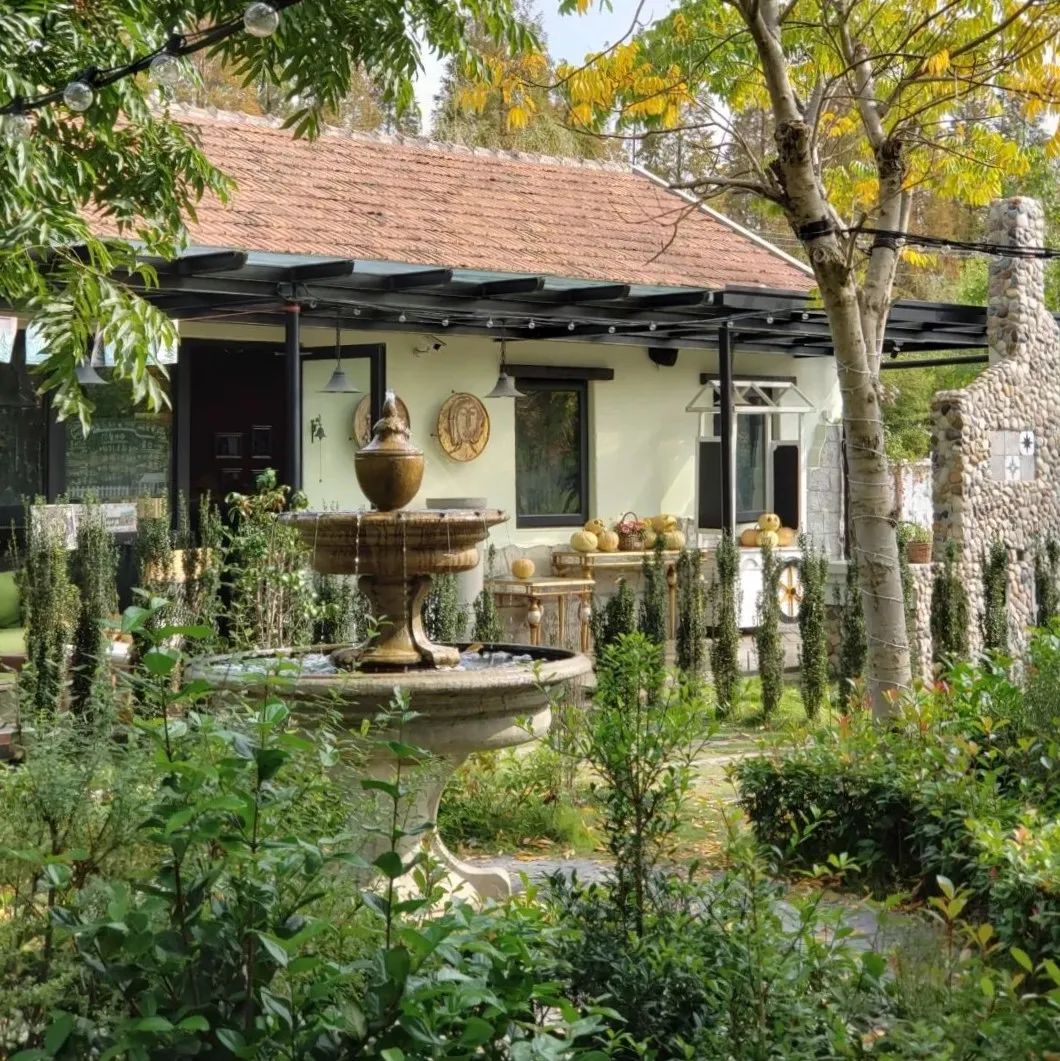 20亩果园盈利模式,农场果园10大盈利模式