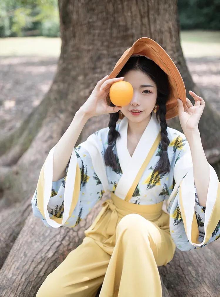 汉服科普,晋制——襦裙(外出)、襦袴