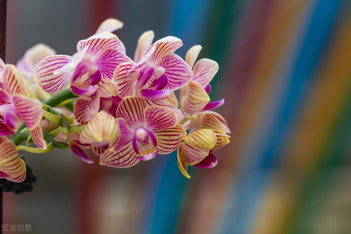 低成本创业小生意适合女生200元,小生意月入5万50岁创业成功案例