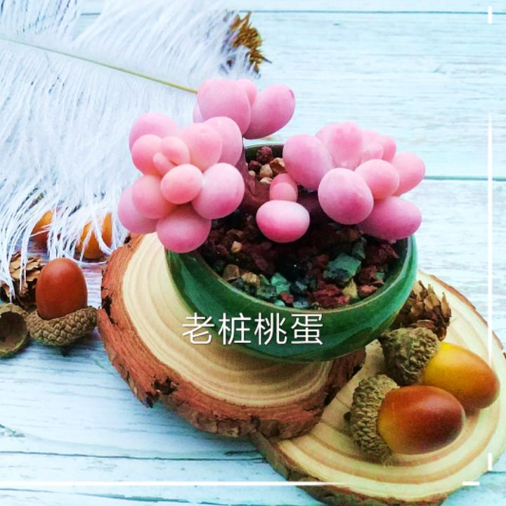 软装家居品牌店铺推荐,知名家居软装推荐