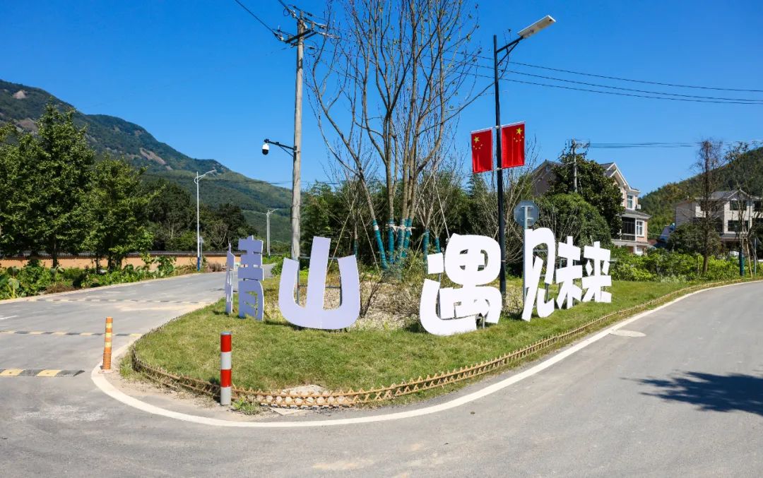 整村运营,整村运营顶层策划