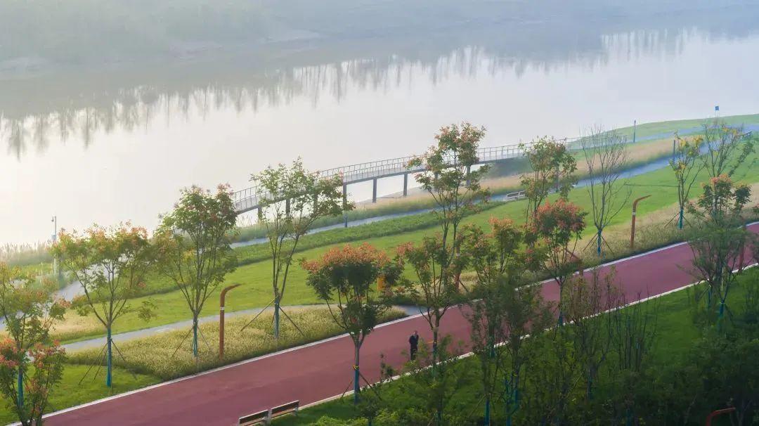 骑行打卡景点,湿地骑行观风景