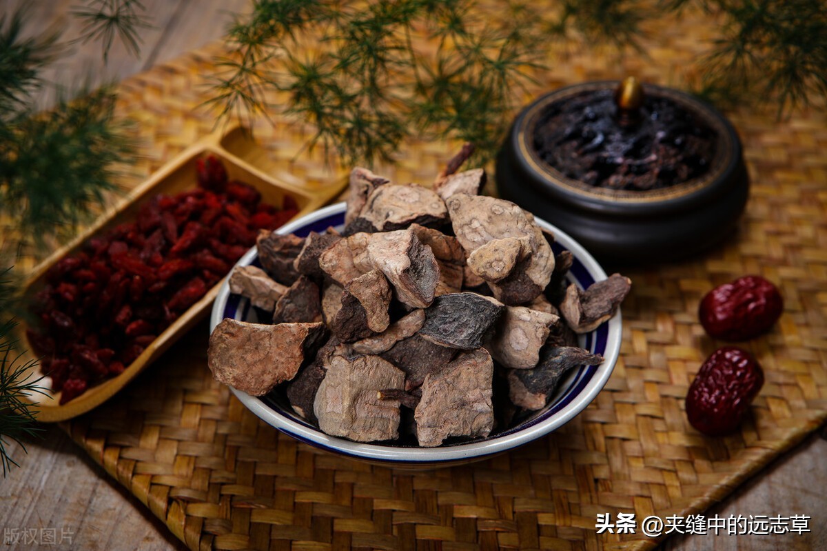 突然大面积脱发斑秃是什么病,脱发还有斑秃的迹象怎么办