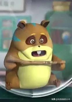 熊出没最厉害的角色,熊出没历代角色大全