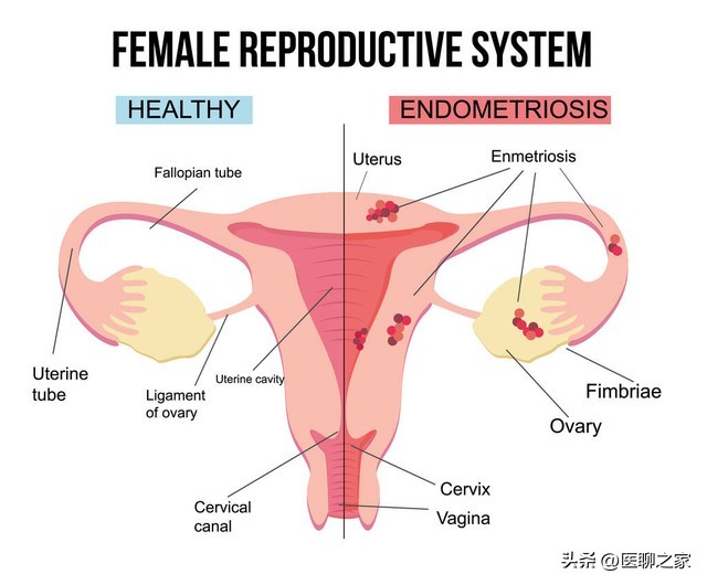 北京协和医院妇产科有多厉害,北京协和医院妇产科医生