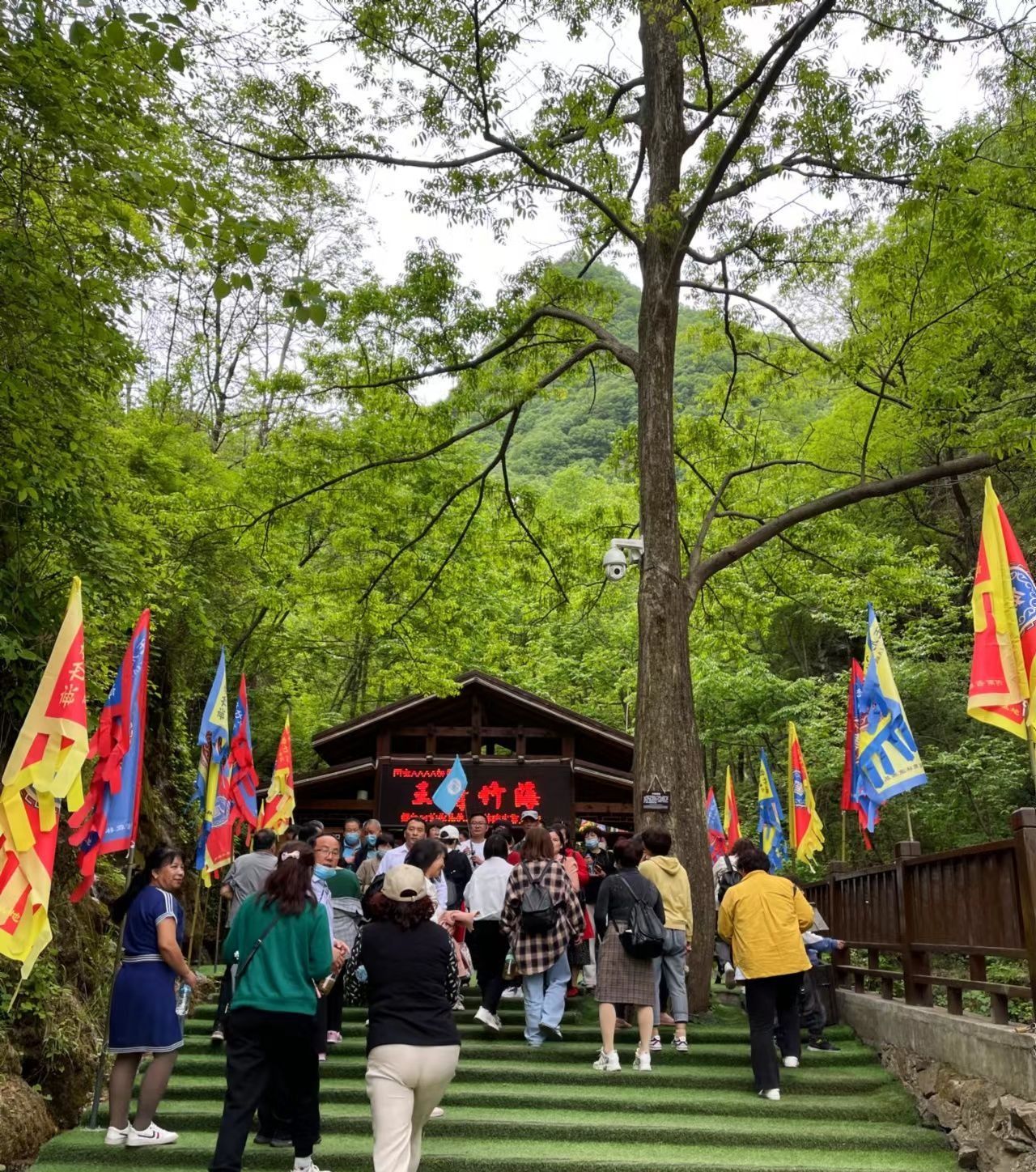 洛阳王府竹海风景图,洛阳王府竹海景区介绍