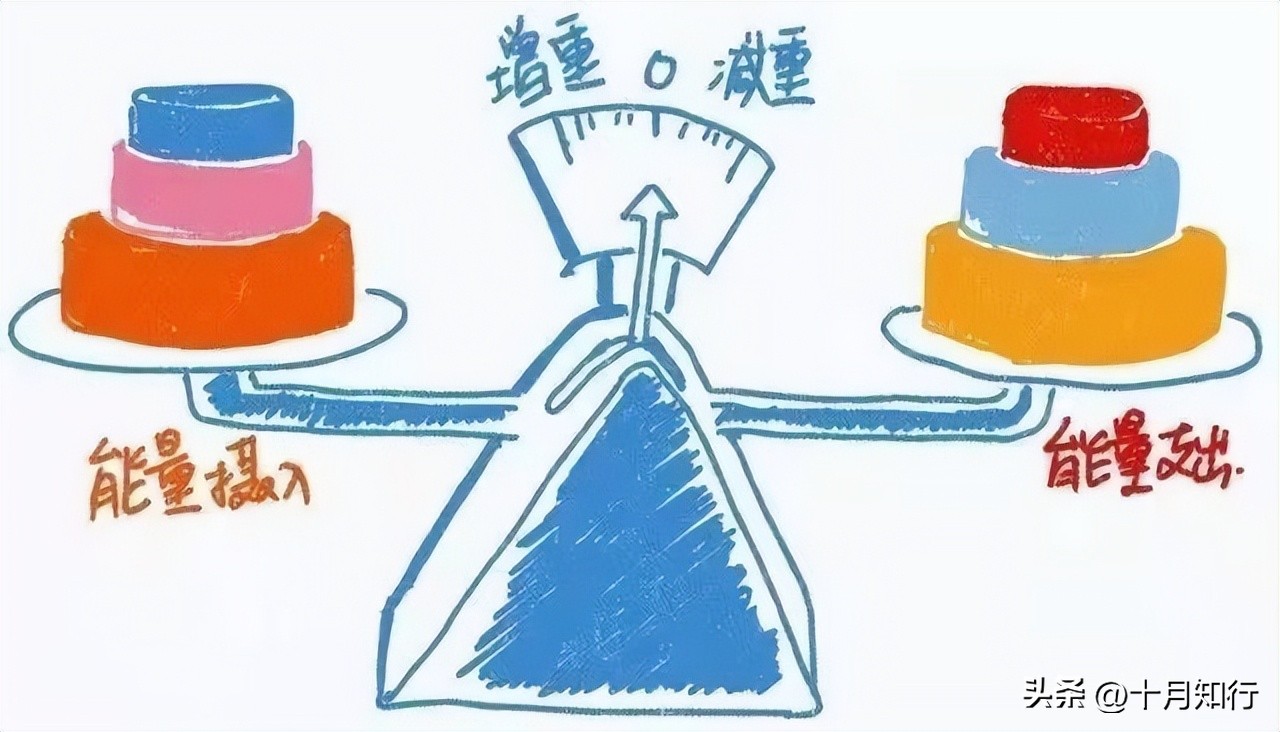 怎么减上腹部脂肪最快最有效,如何高效减掉腹部脂肪