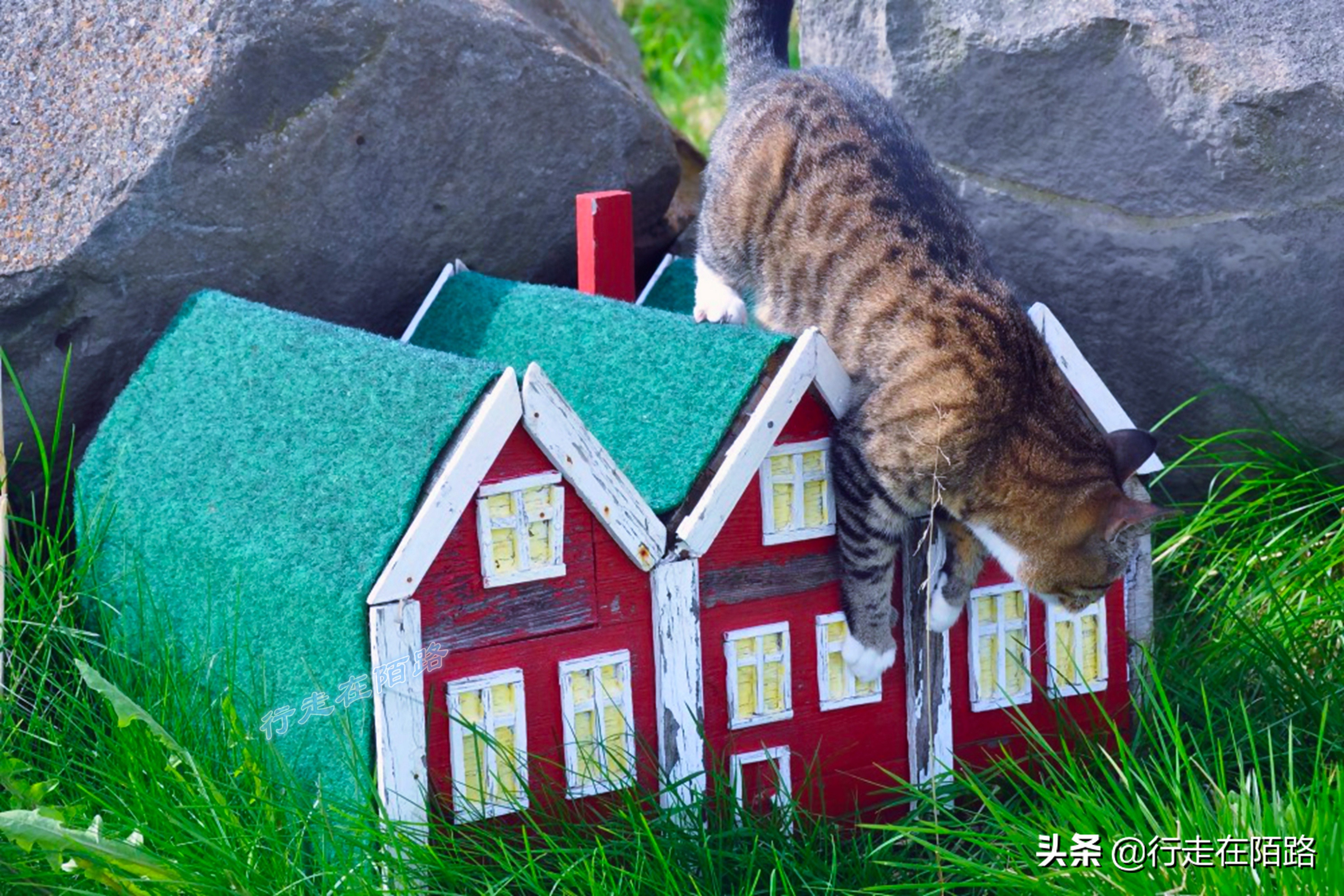 冰岛的交通费多贵,冰岛物价克朗