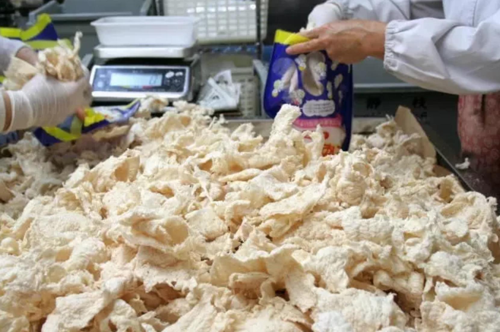 鏃ユ湰鍐茬怀澶╀娇涔嬬考闆堕,鏃ユ湰闆堕澶╀娇涔嬬考