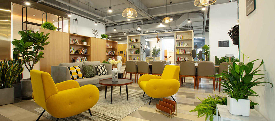 施王物联科技有限公司直播,施王物联科技有限公司