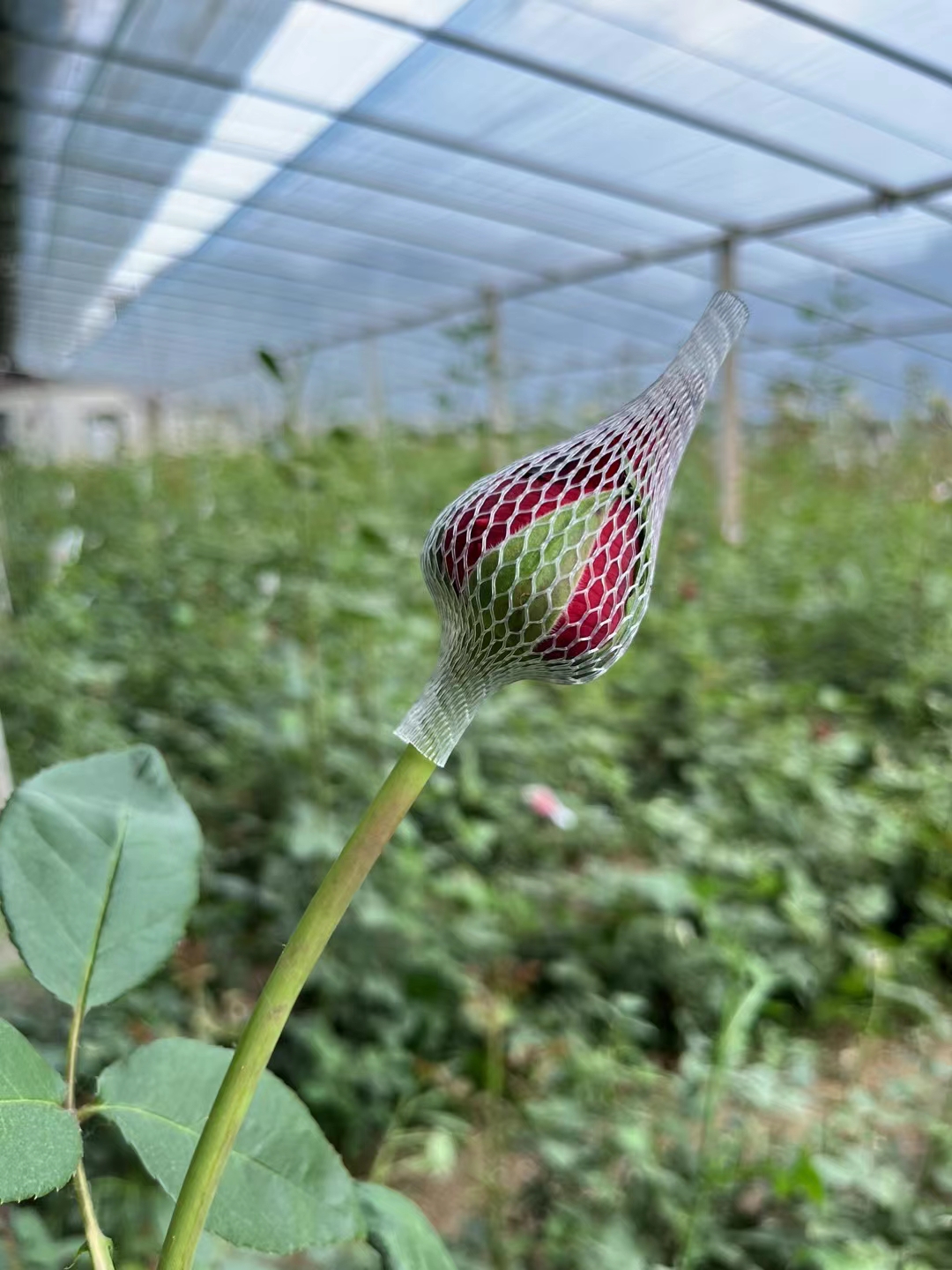 反诈电话提醒是真是假,电话智能反诈功能