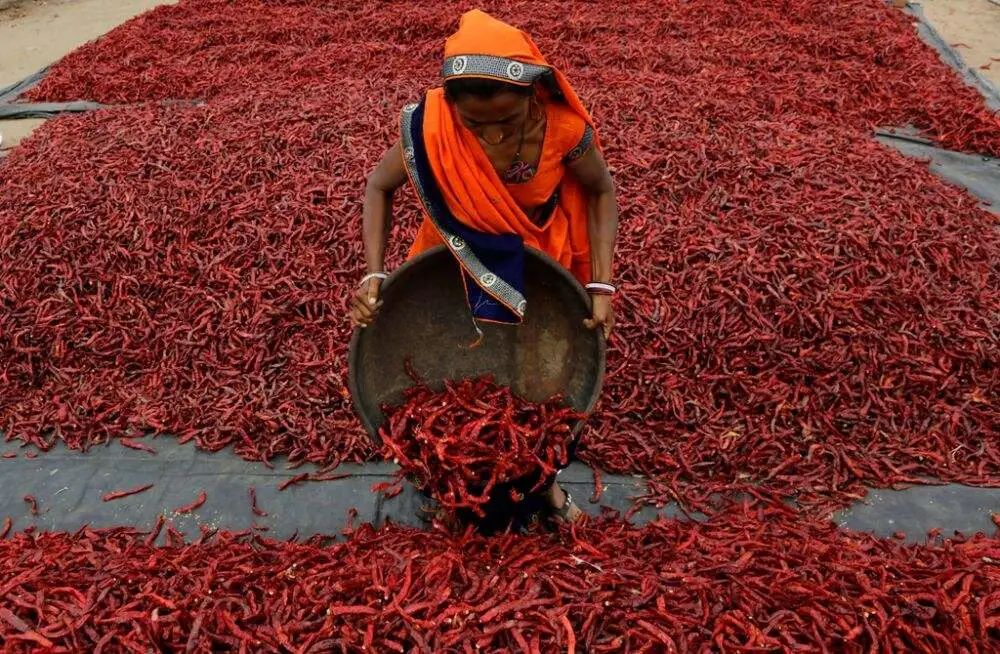 韩国蔬菜价格水涨船高,韩国物价暴涨带来的商机