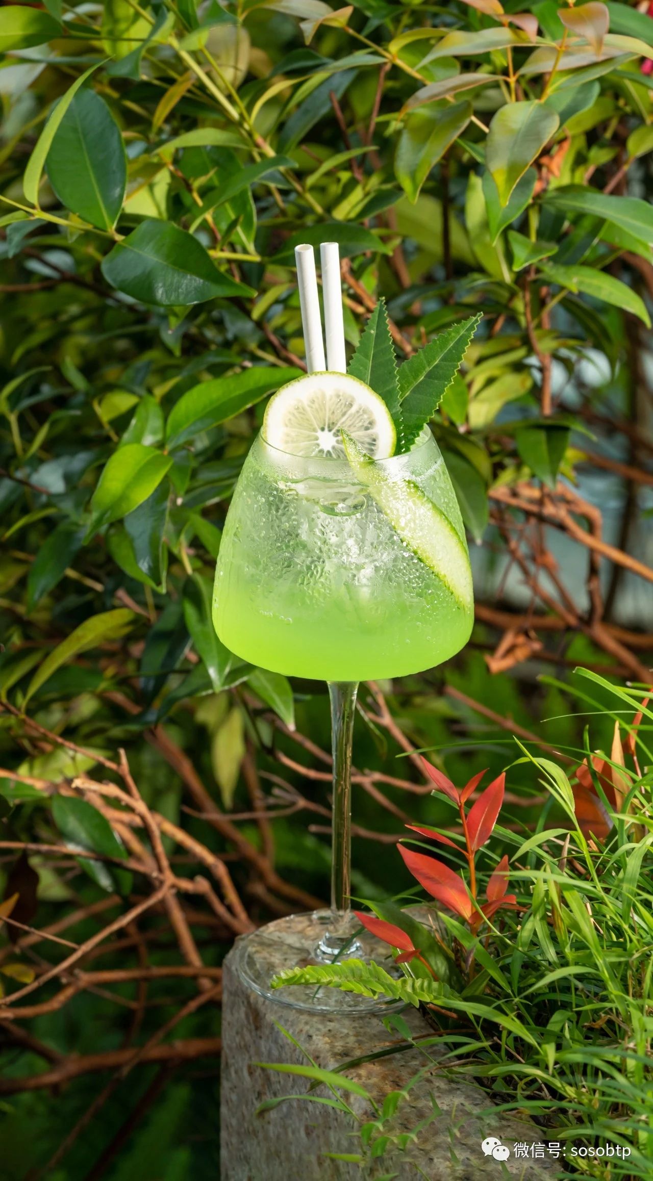 柏悦鸡尾酒,广州柏悦酒店优惠